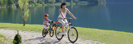 IWH Premium Trail Angel Tandemstange Fixierstange Kinder Fahrrad Anhänger  12-20 8015058003042